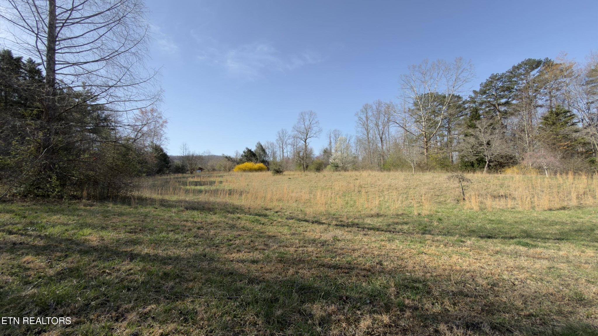 577 Blizzard Mines Road Harriman, TN 37748 - Photo 37 of 41 Gallery Image 37