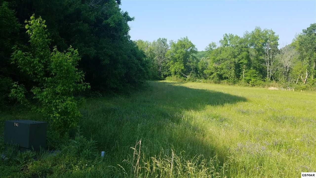 57 River Rpds Way Del Rio, TN 37727 - Photo 5 of 7 Gallery Image 5