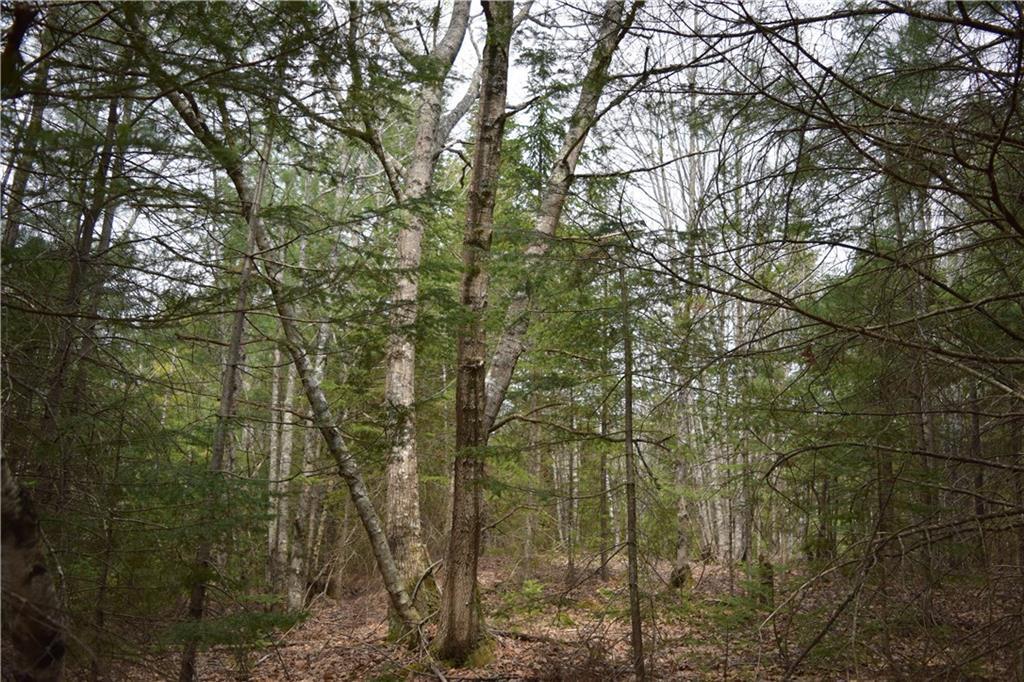 Map 403-lo Map 403-lo Road Thomaston, ME 04861 - Photo 6 of 11 Land