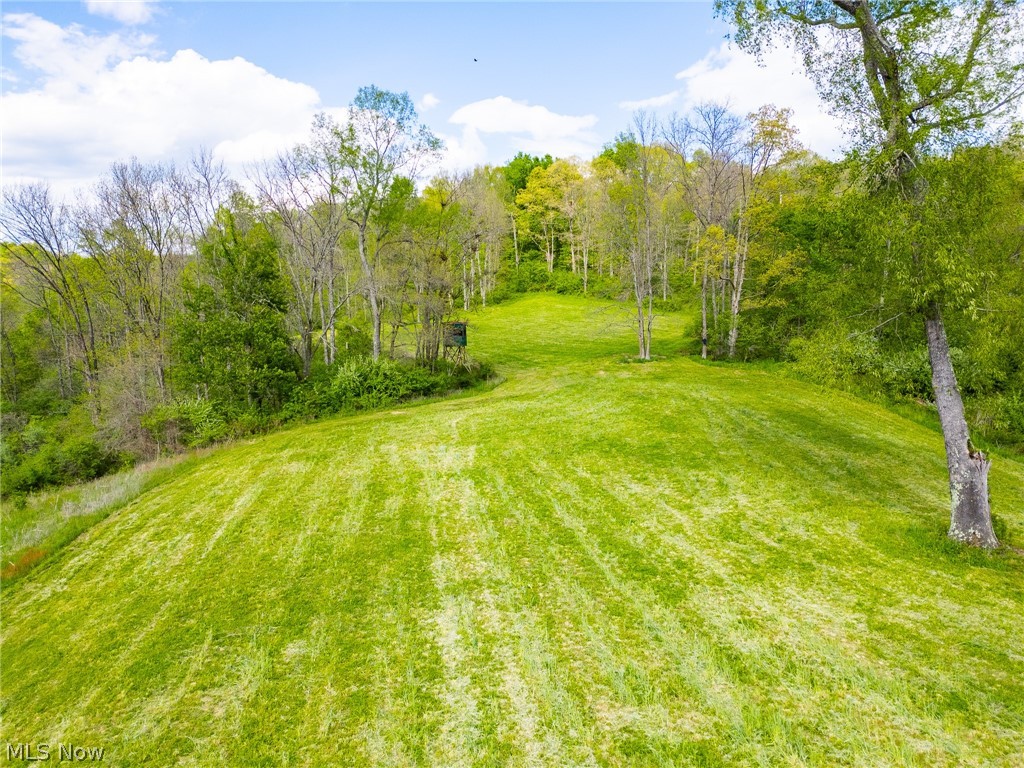 69800 Skull Fork Road Freeport, OH 43973 - Photo 18 of 50