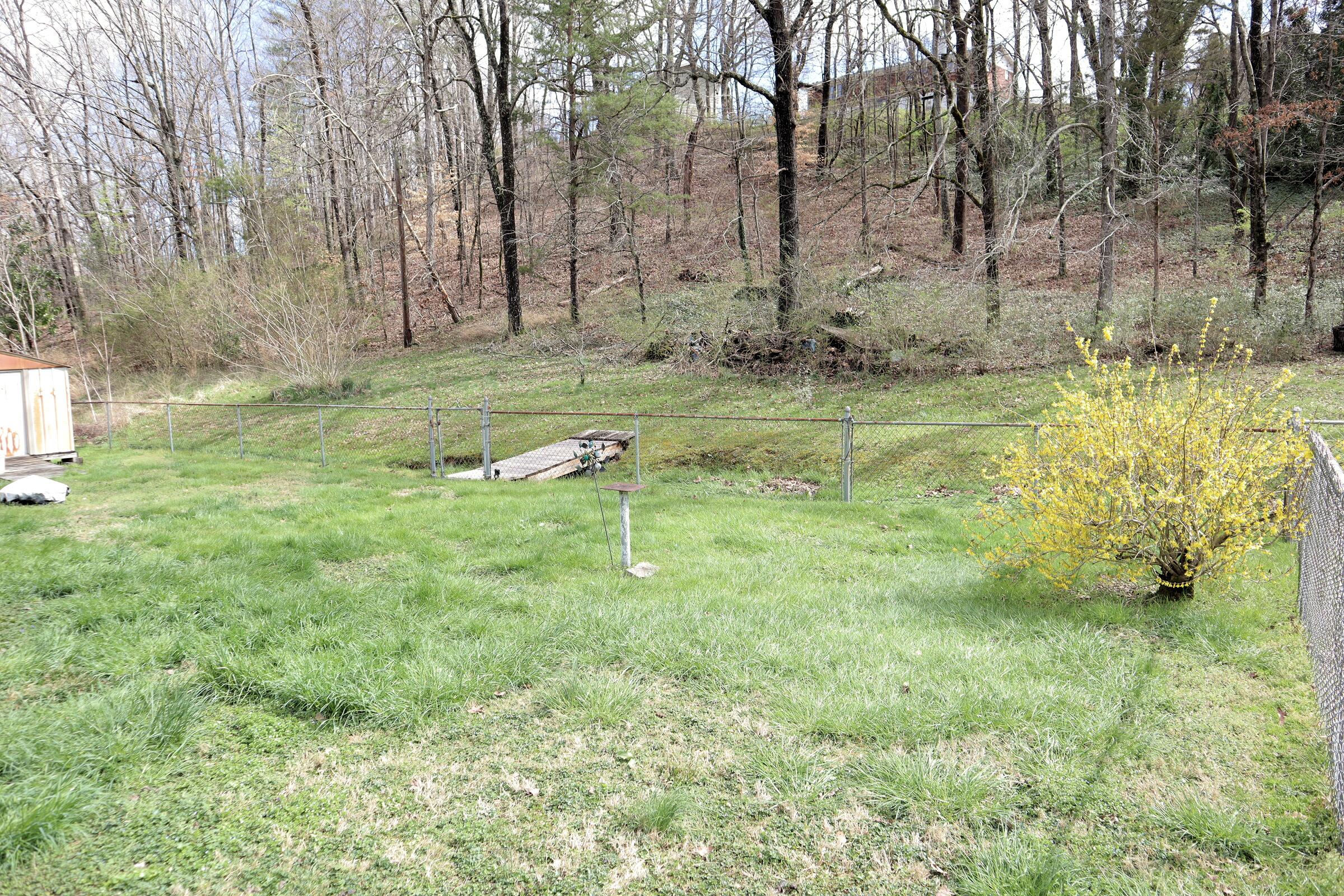 4540 Norcross Road Hixson, TN 37343 - Photo 34 of 58 IMG_1253