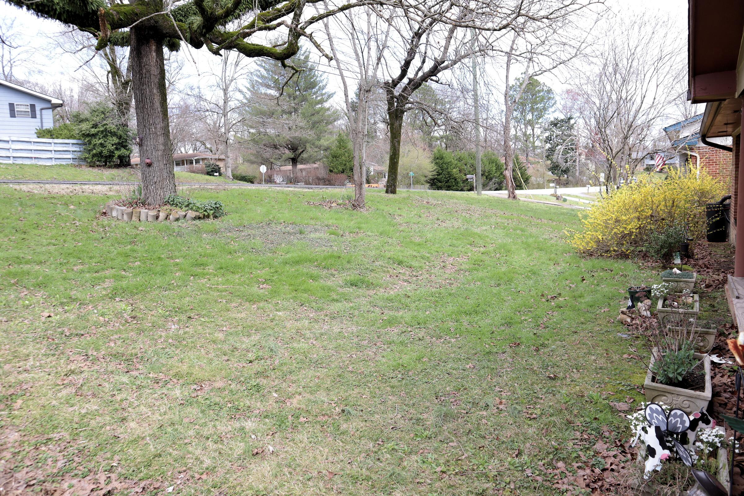4540 Norcross Road Hixson, TN 37343 - Photo 6 of 58 IMG_1278
