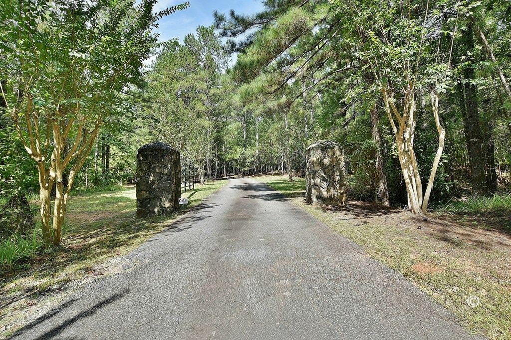 8601 Grey Rock Road Midland, GA 31820 - Photo 2 of 56 Gated driveway