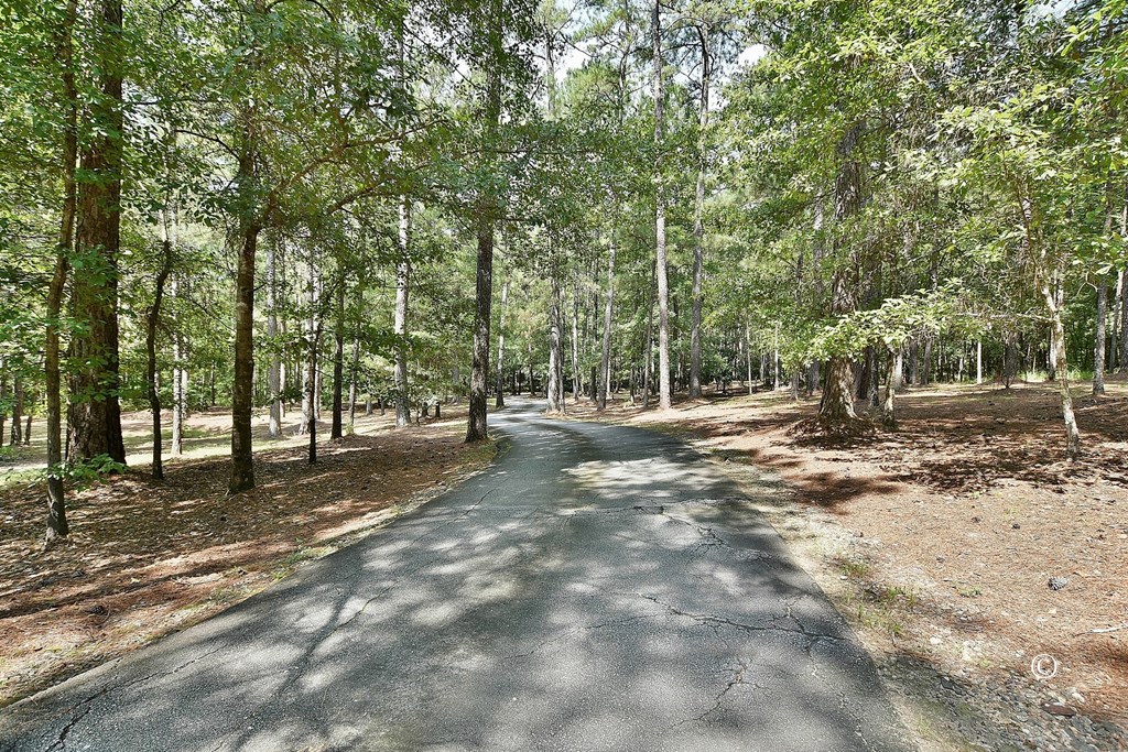 8601 Grey Rock Road Midland, GA 31820 - Photo 3 of 56 Driveway