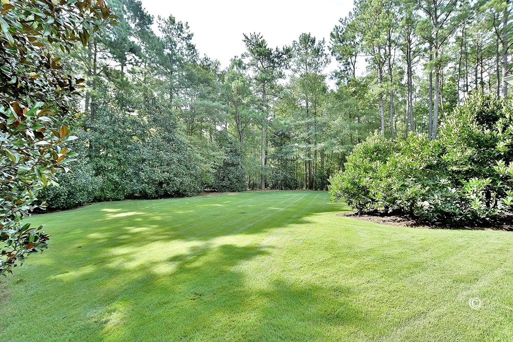 8601 Grey Rock Road Midland, GA 31820 - Photo 51 of 56 Side Yard