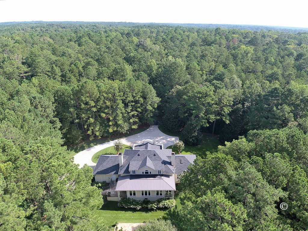 8601 Grey Rock Road Midland, GA 31820 - Photo 55 of 56 Aerial