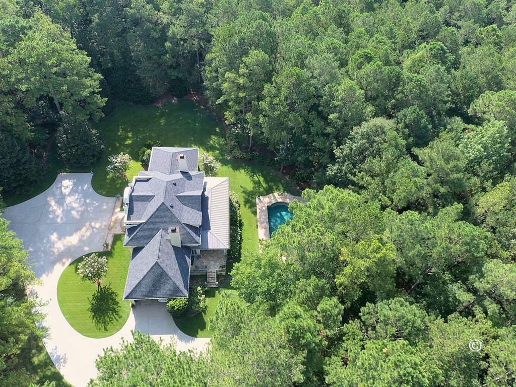 8601 Grey Rock Road Midland, GA 31820 - Photo 56 of 56 Aerial