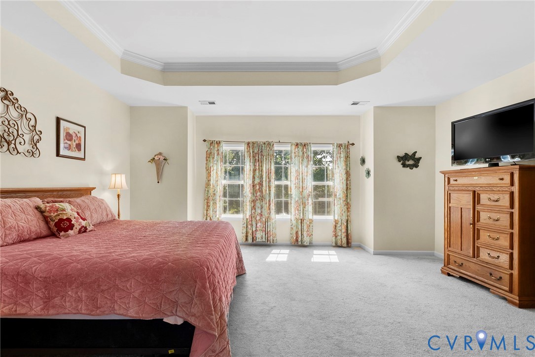 753 Blossom Tree Road Culpeper, VA 22701 - Photo 57 of 68 Recessed tray ceiling with crown molding, three do