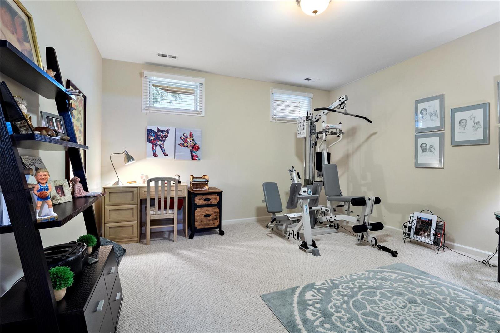 59 Picardy Hill Drive Chesterfield, MO 63017 - Photo 47 of 53