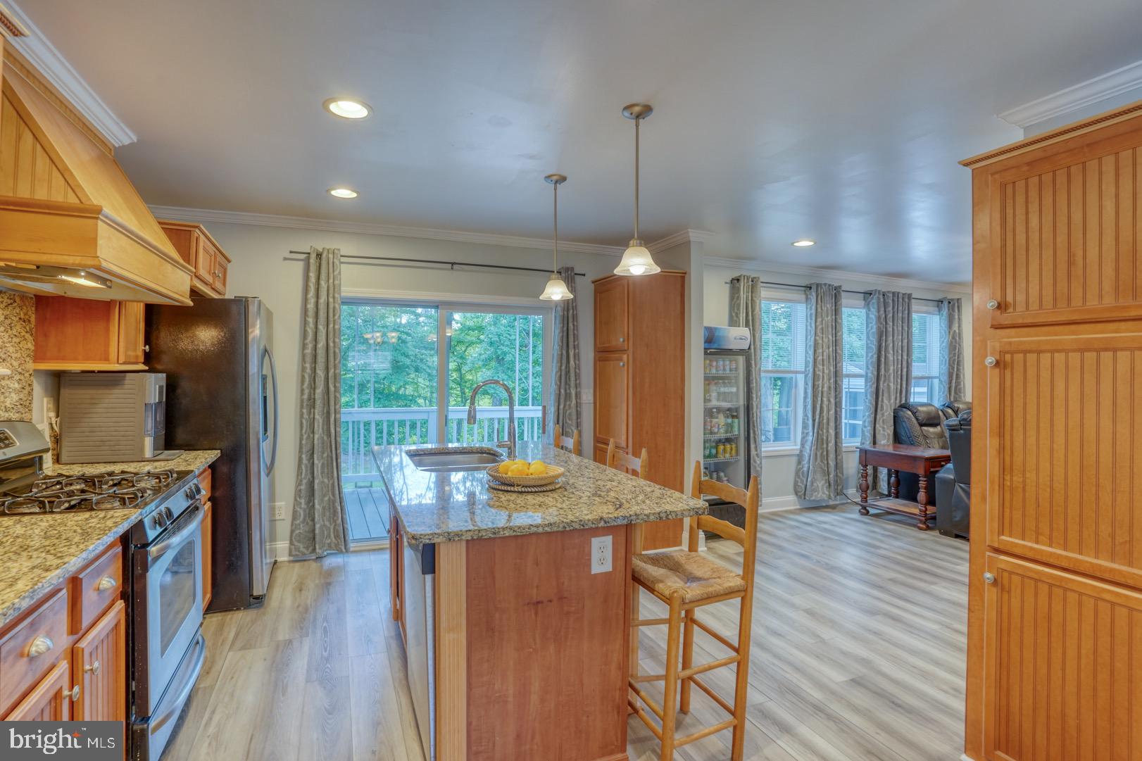 31621 West Edge Road Millington, MD 21651 - Photo 14 of 76 Updated Kitchen
