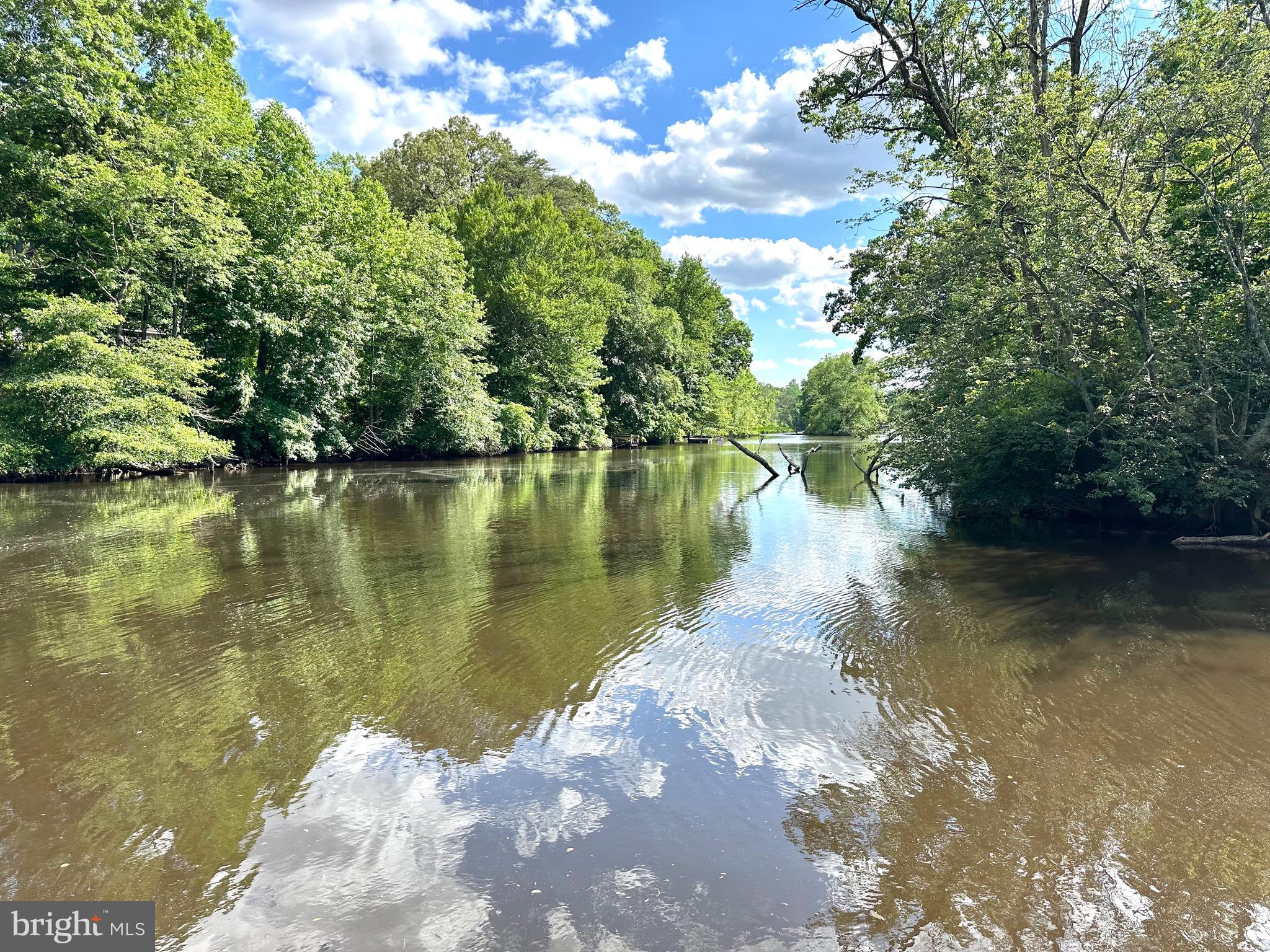 31621 West Edge Road Millington, MD 21651 - Photo 71 of 76 Calm waters