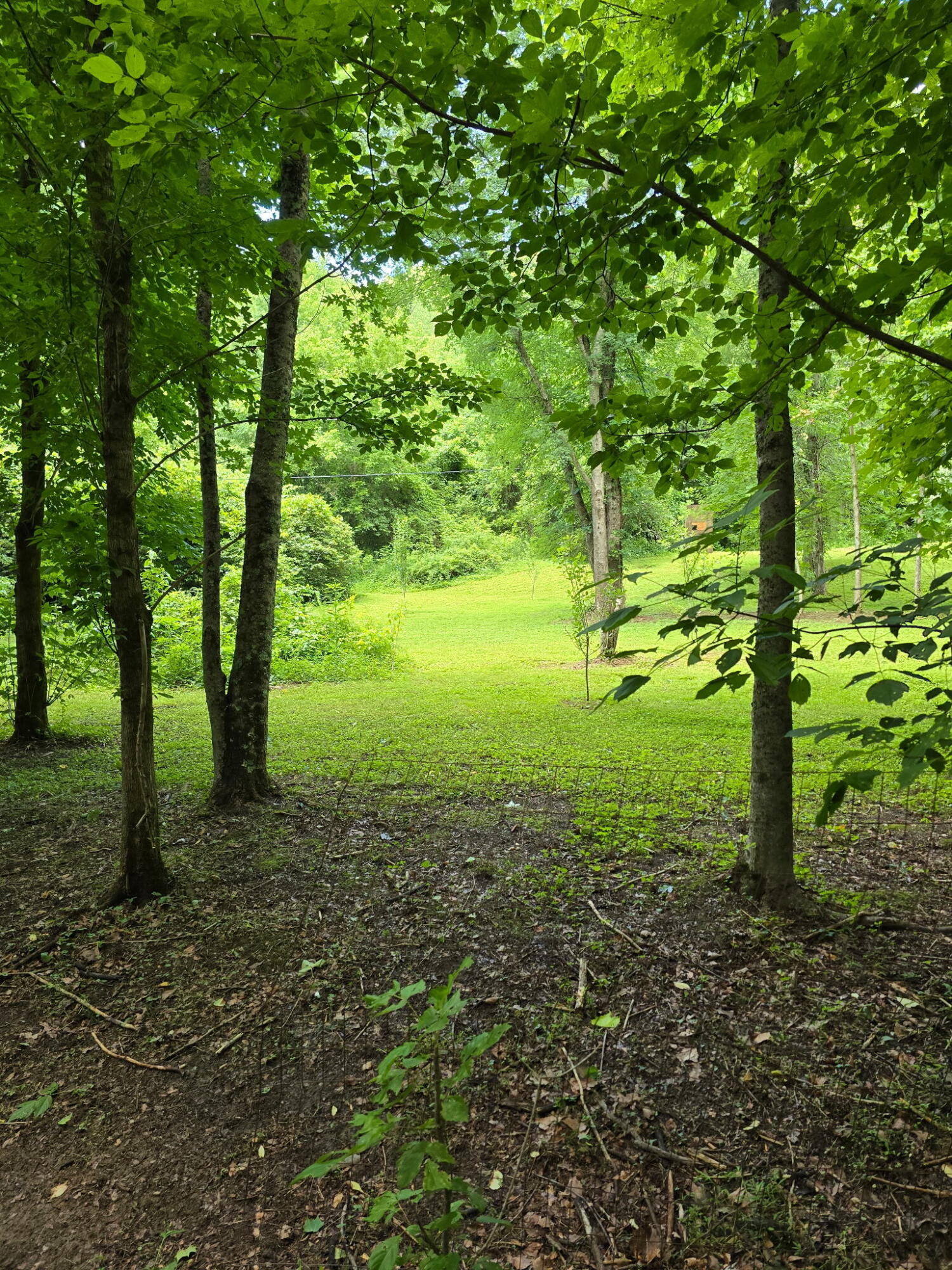 377 Gravy Branch Road Trosper, KY 40995 - Photo 41 of 53 IMG_20260619_192842
