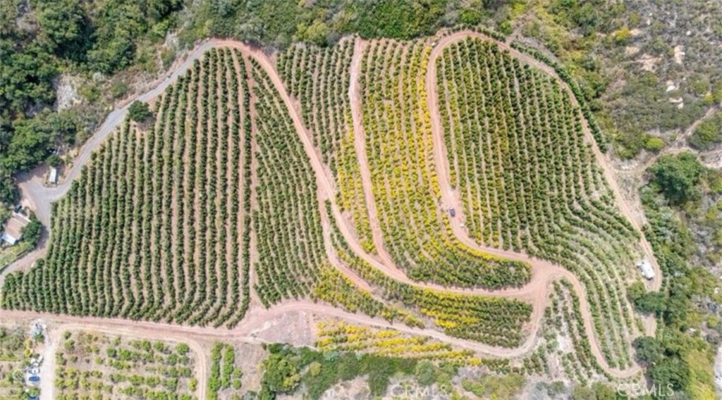 4508 Foothill Road Carpinteria, CA 93013 - Photo 1 of 1 a view of a wooden floor