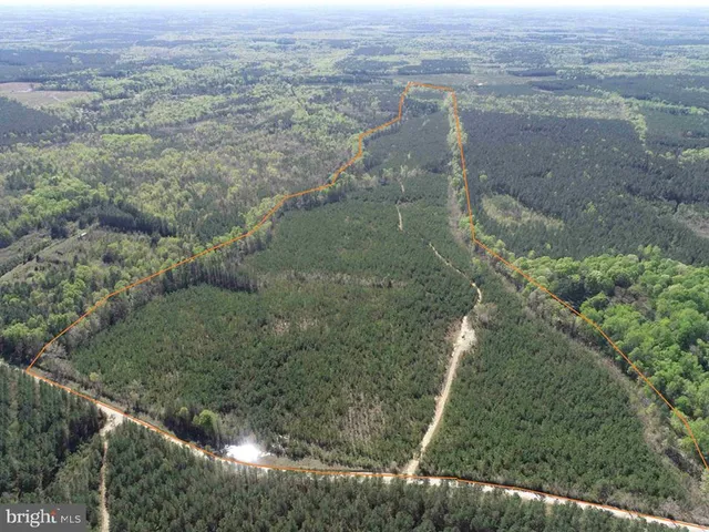an aerial view of forest