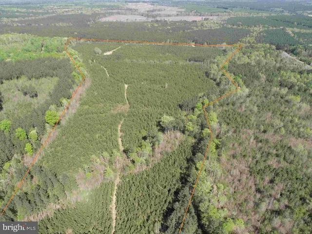 a close up of a plant in a bathroom
