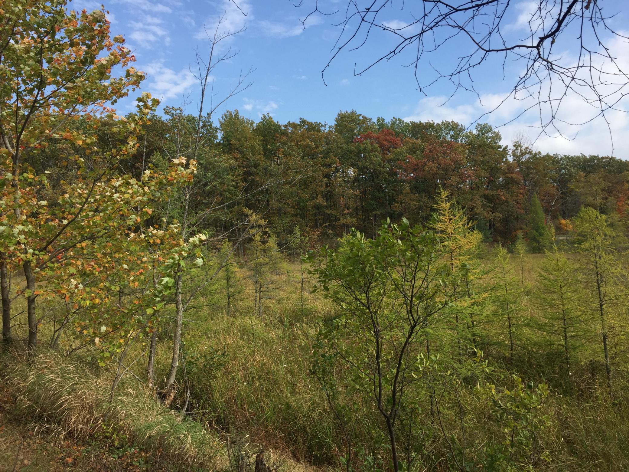 63 Barronett Wi 54871 Shell Lake, WI 54871 - Photo 11 of 44