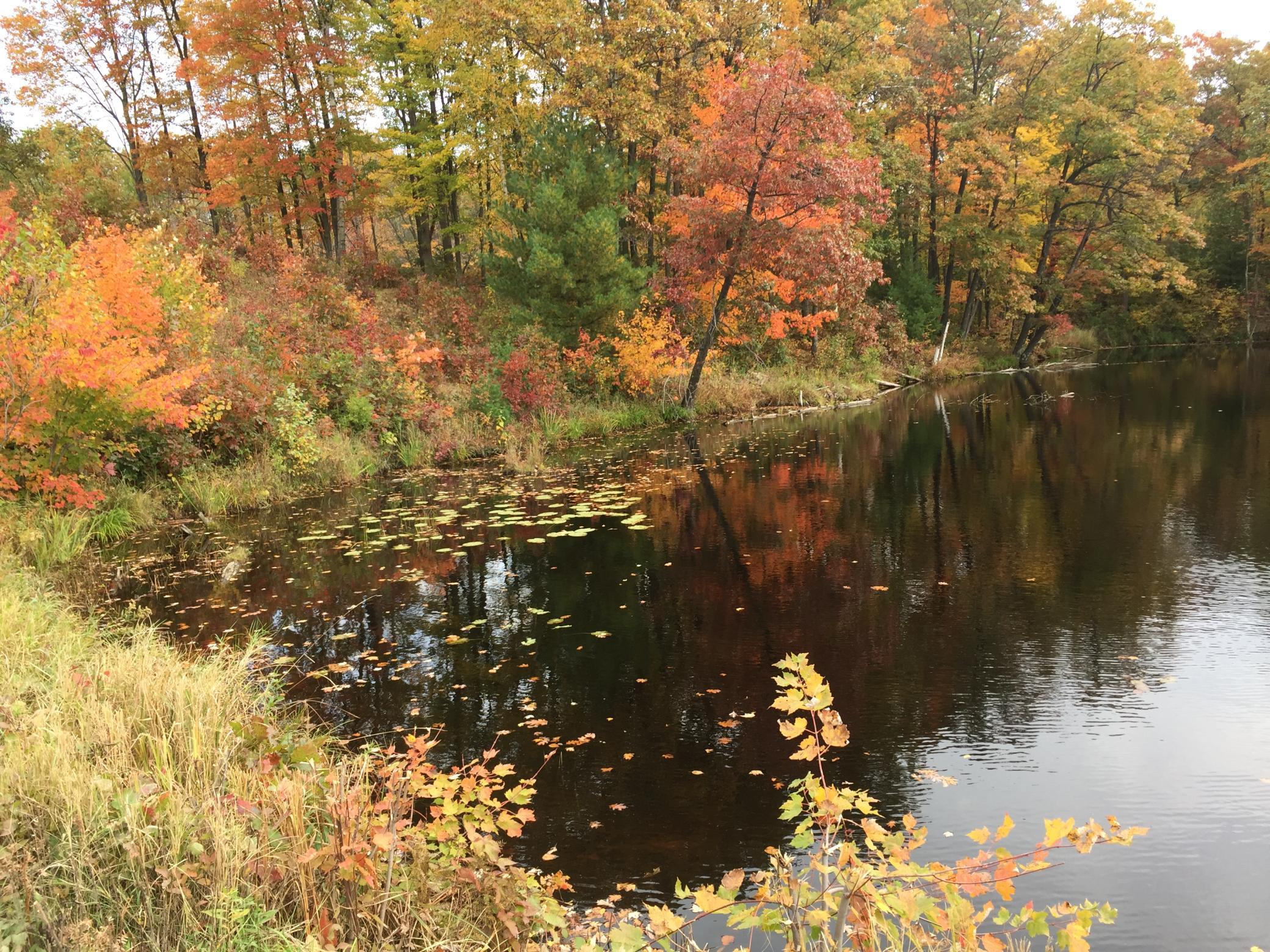 63 Barronett Wi 54871 Shell Lake, WI 54871 - Photo 13 of 44