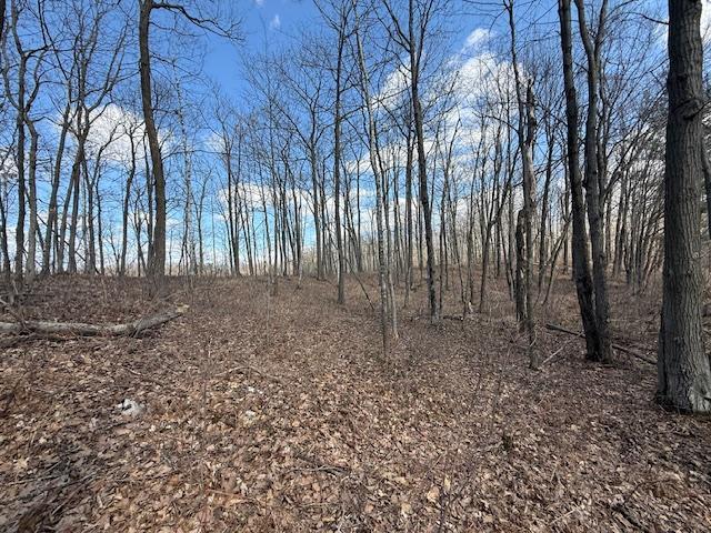 63 Barronett Wi 54871 Shell Lake, WI 54871 - Photo 16 of 44