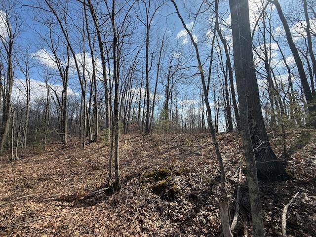 63 Barronett Wi 54871 Shell Lake, WI 54871 - Photo 17 of 44