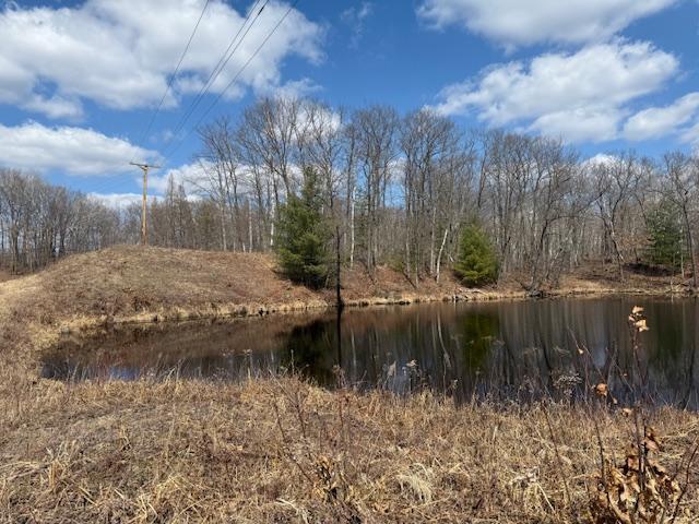 63 Barronett Wi 54871 Shell Lake, WI 54871 - Photo 23 of 44