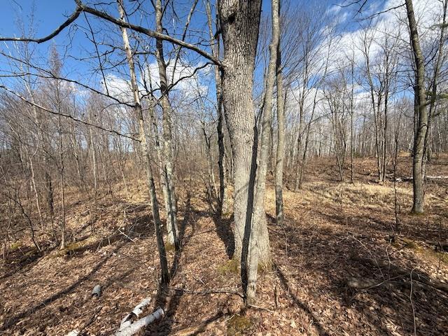 63 Barronett Wi 54871 Shell Lake, WI 54871 - Photo 27 of 44