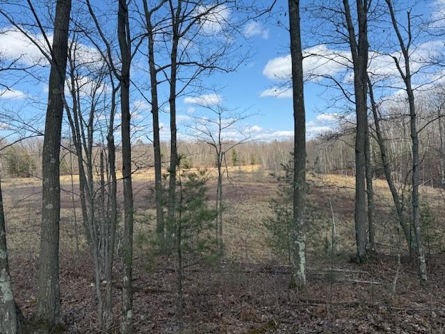 63 Barronett Wi 54871 Shell Lake, WI 54871 - Photo 31 of 44