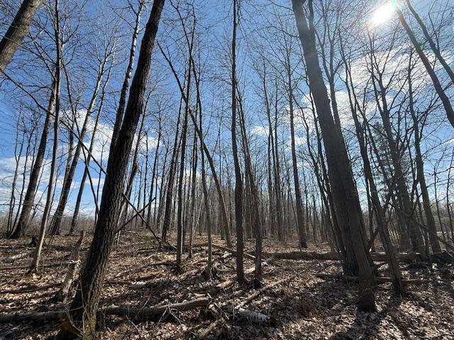 63 Barronett Wi 54871 Shell Lake, WI 54871 - Photo 34 of 44