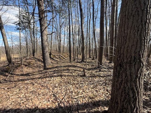 63 Barronett Wi 54871 Shell Lake, WI 54871 - Photo 38 of 44