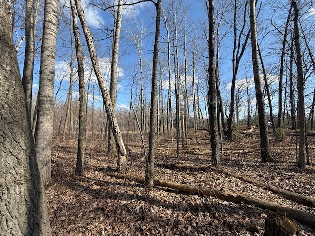 63 Barronett Wi 54871 Shell Lake, WI 54871 - Photo 41 of 44