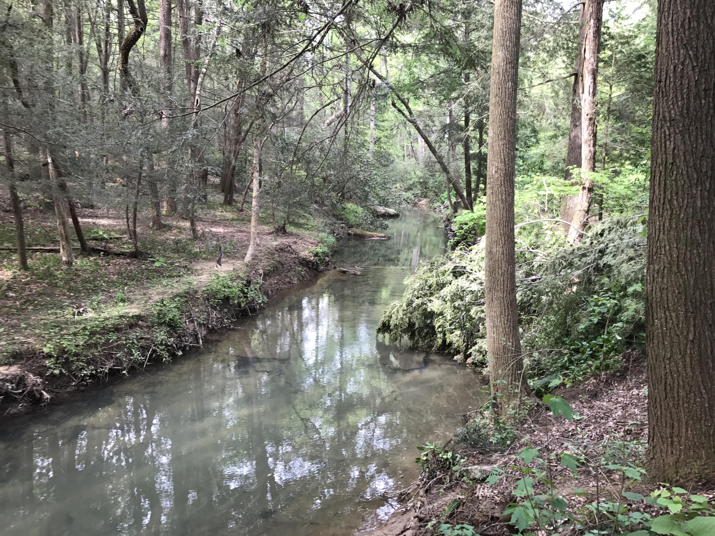 22 Middle Creek Road Signal Mountain, TN 37377 - Photo 26 of 29 Creek