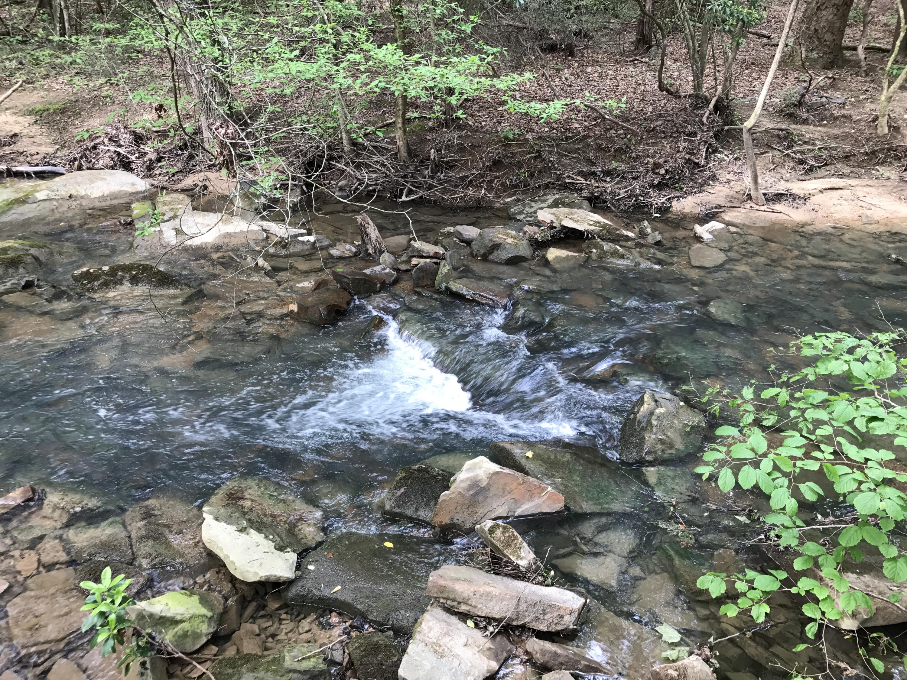 22 Middle Creek Road Signal Mountain, TN 37377 - Photo 27 of 29 Creek