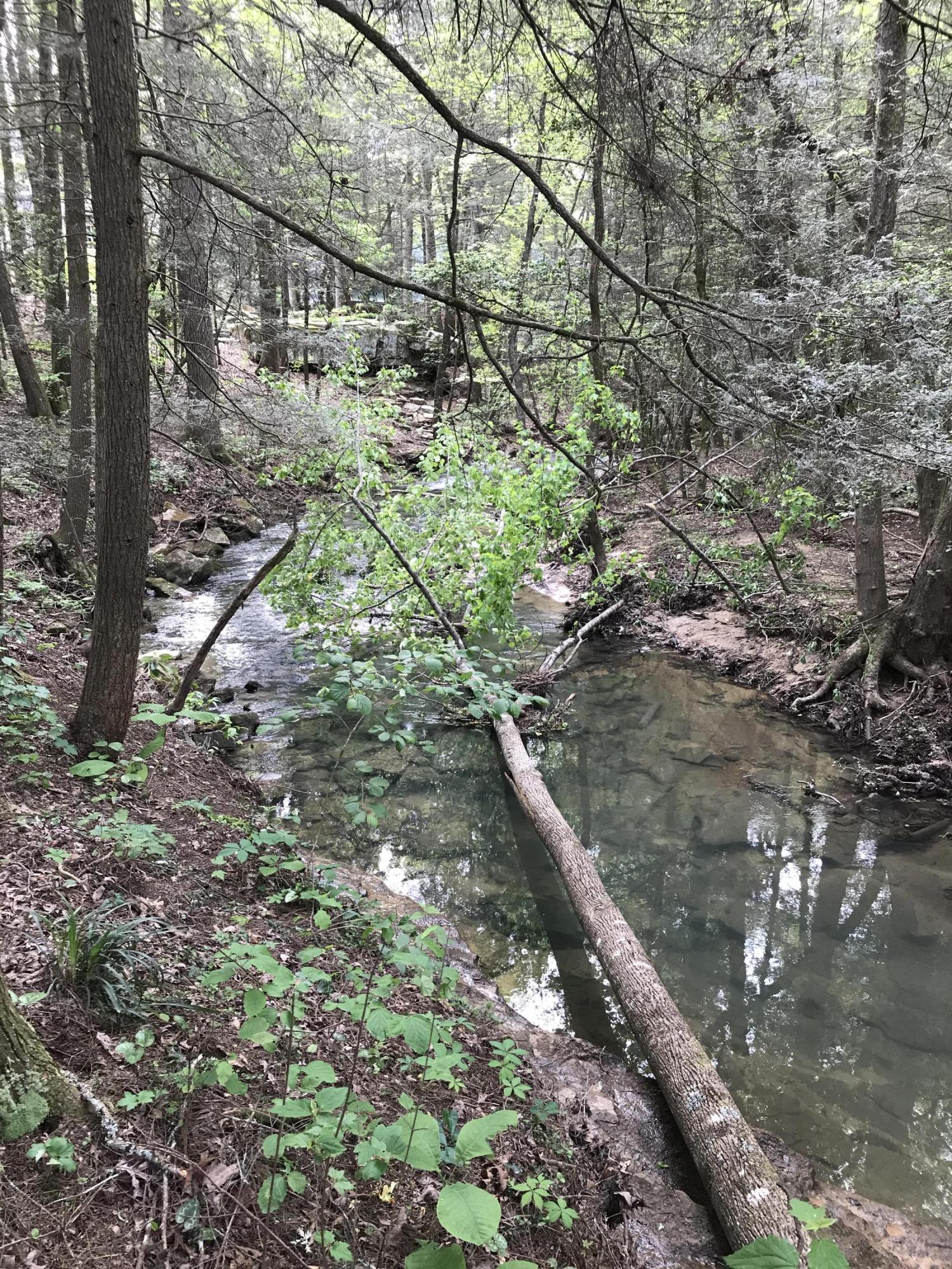 22 Middle Creek Road Signal Mountain, TN 37377 - Photo 28 of 29 Creek