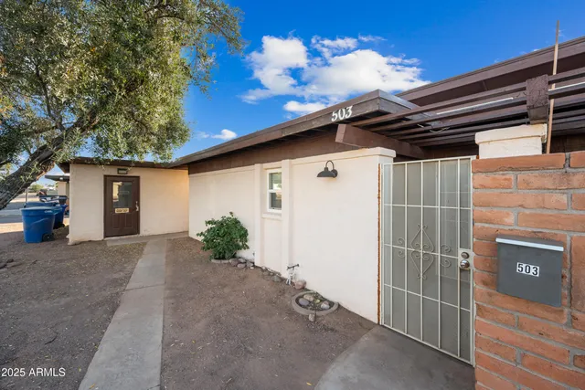 a view of backyard with potted plants