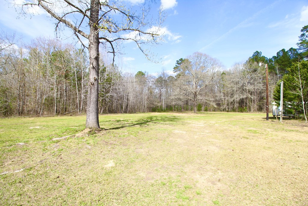 222 Catfish Road Clarks Hill, SC 29821 - Photo 28 of 31