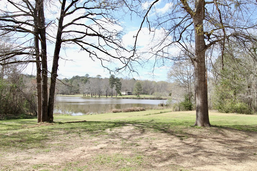 222 Catfish Road Clarks Hill, SC 29821 - Photo 3 of 31