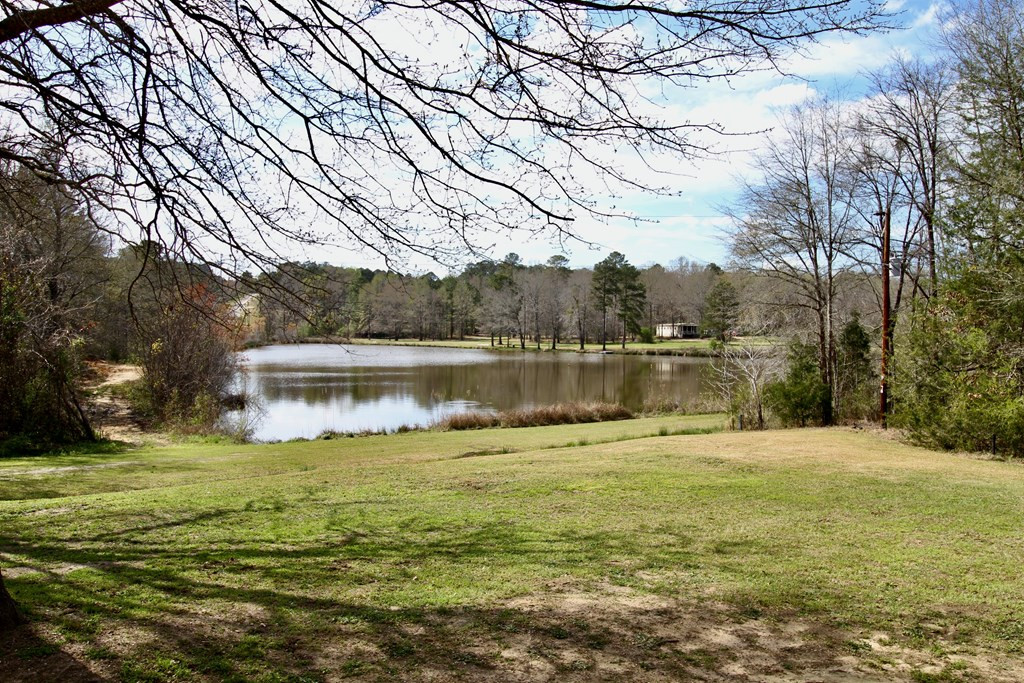 222 Catfish Road Clarks Hill, SC 29821 - Photo 4 of 31