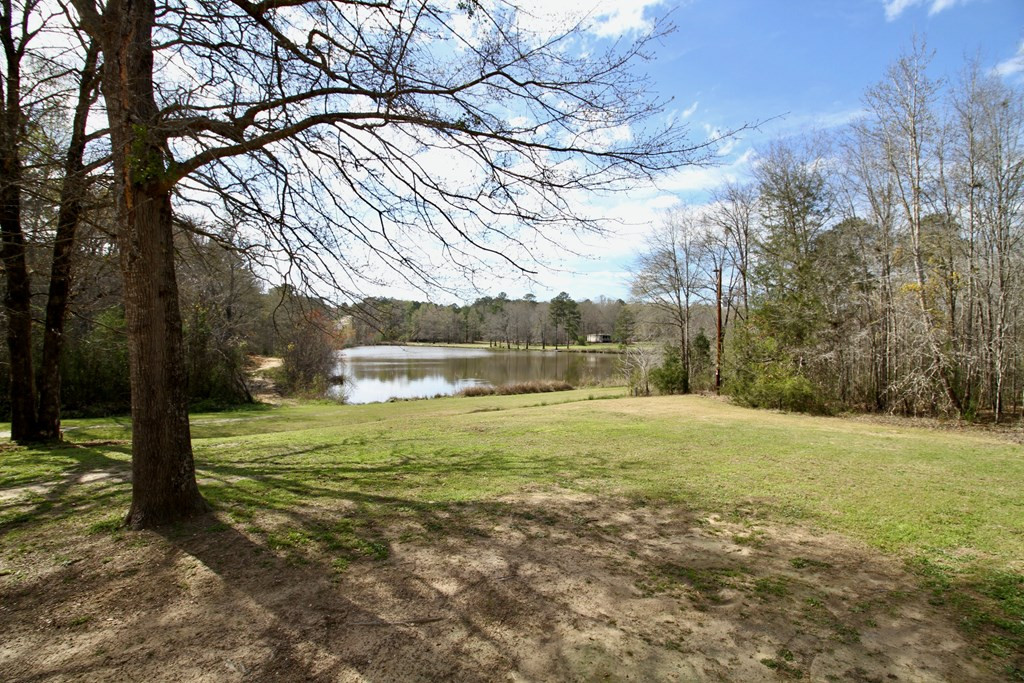 222 Catfish Road Clarks Hill, SC 29821 - Photo 5 of 31