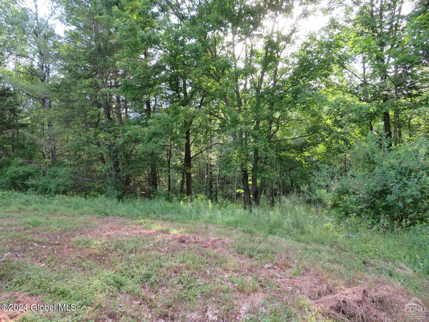 598 High Point Road Berne, NY 12122 - Photo 13 of 14 highpoint18