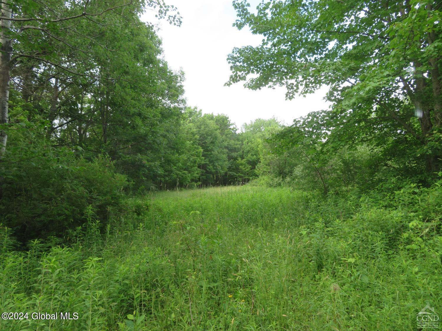 598 High Point Road Berne, NY 12122 - Photo 4 of 14 highpoint5