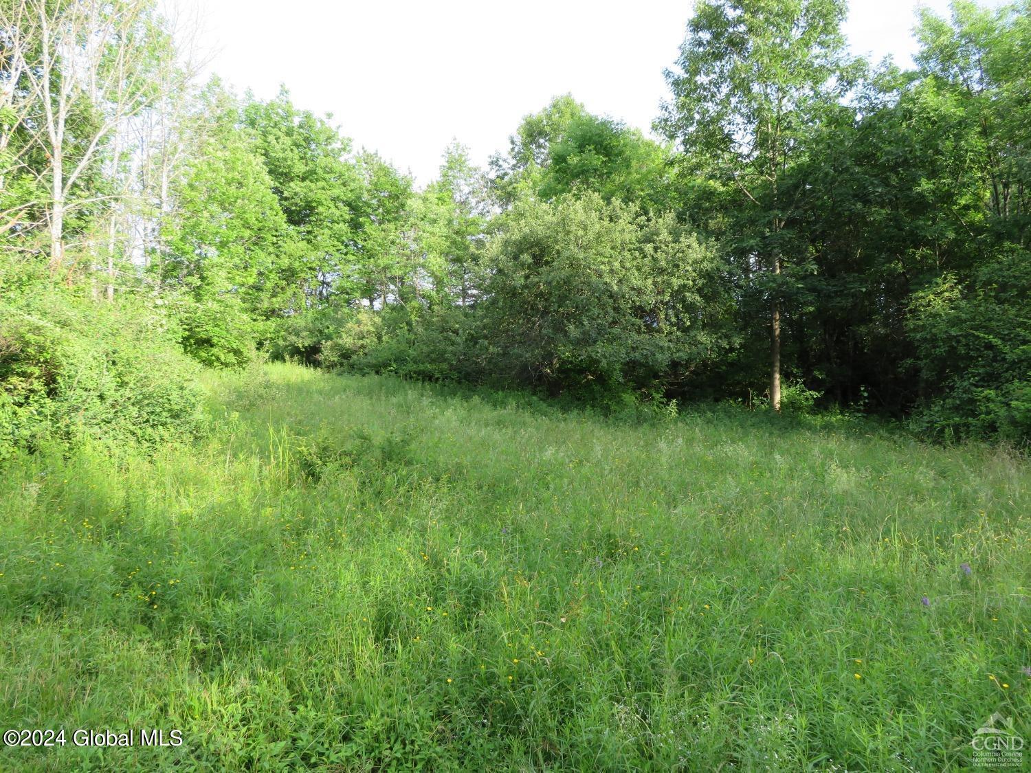 598 High Point Road Berne, NY 12122 - Photo 9 of 14 highpoint10