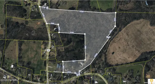 a view of a yard with a large trees