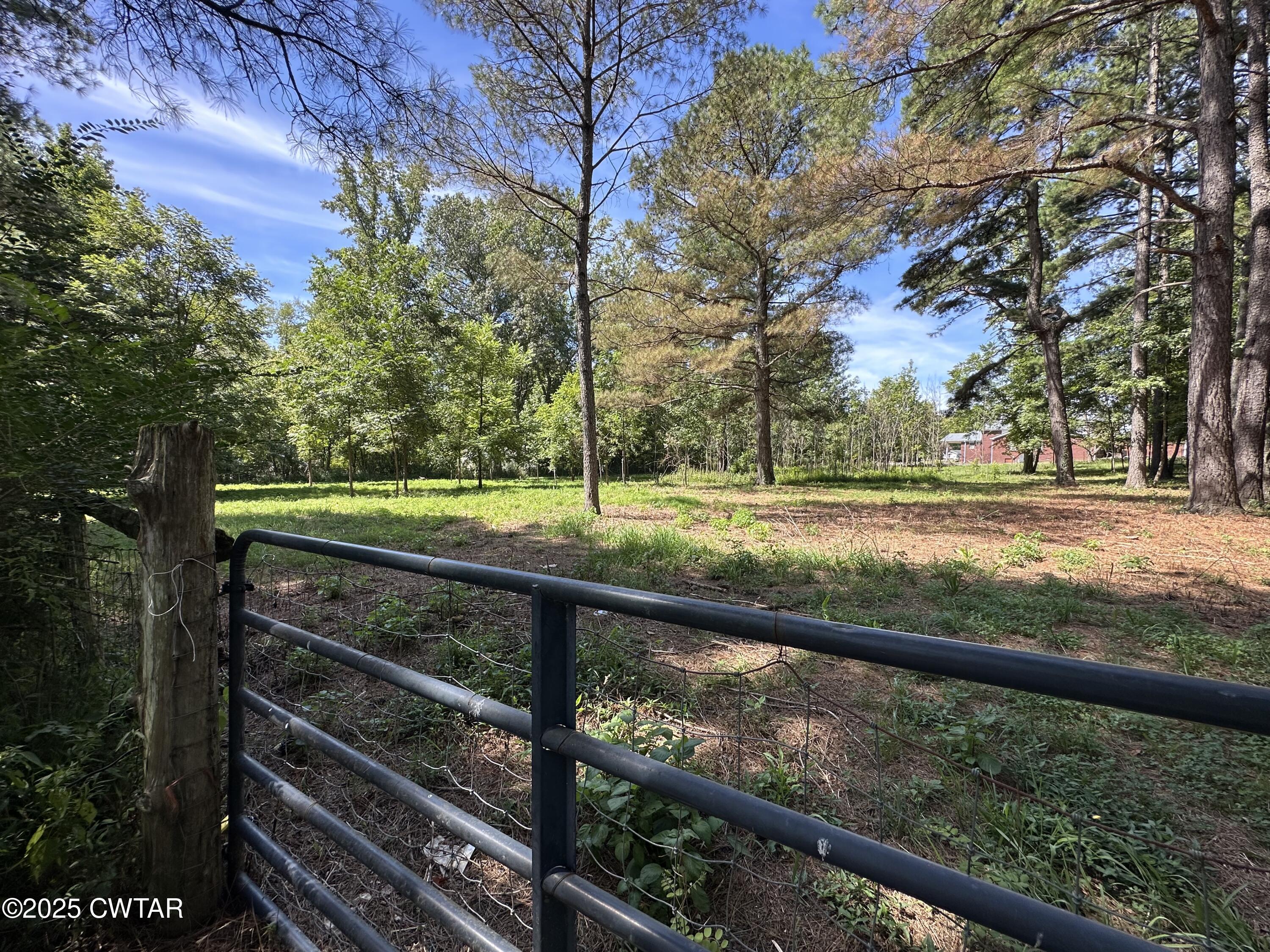 1035 Beacon Road Parsons, TN 38363 - Photo 57 of 70 a view of a yard and from a bench