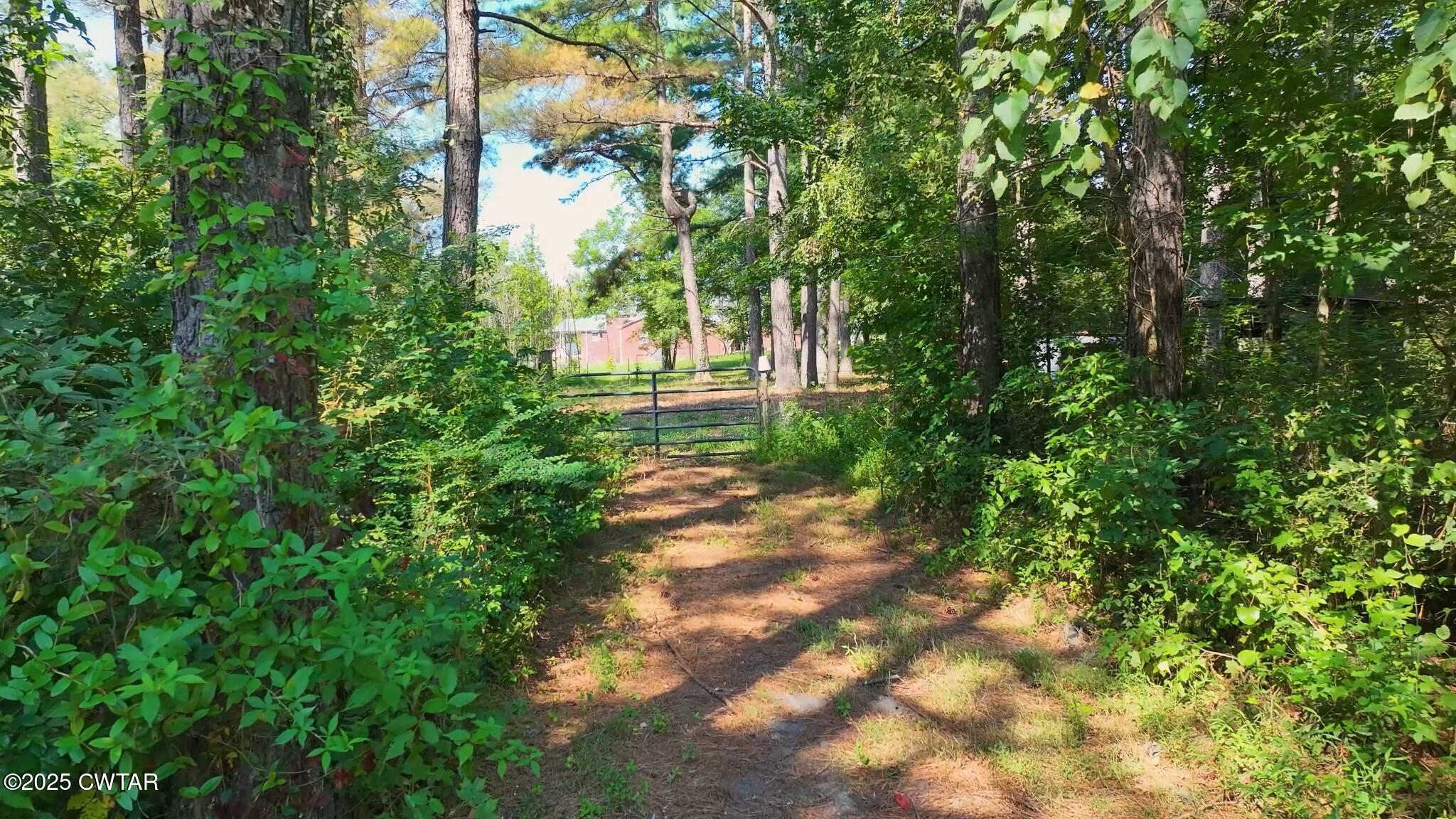 1035 Beacon Road Parsons, TN 38363 - Photo 60 of 70 a view of a yard with plants and large trees