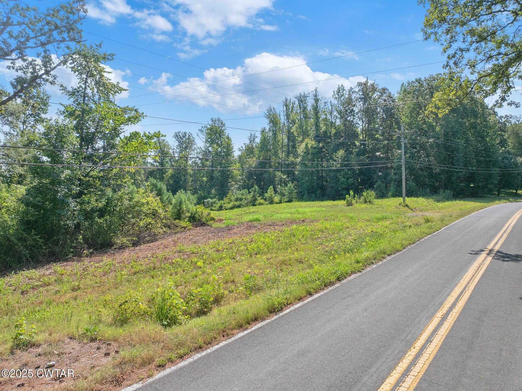 1035 Beacon Road Parsons, TN 38363 - Photo 68 of 70 a view of a yard with a large trees