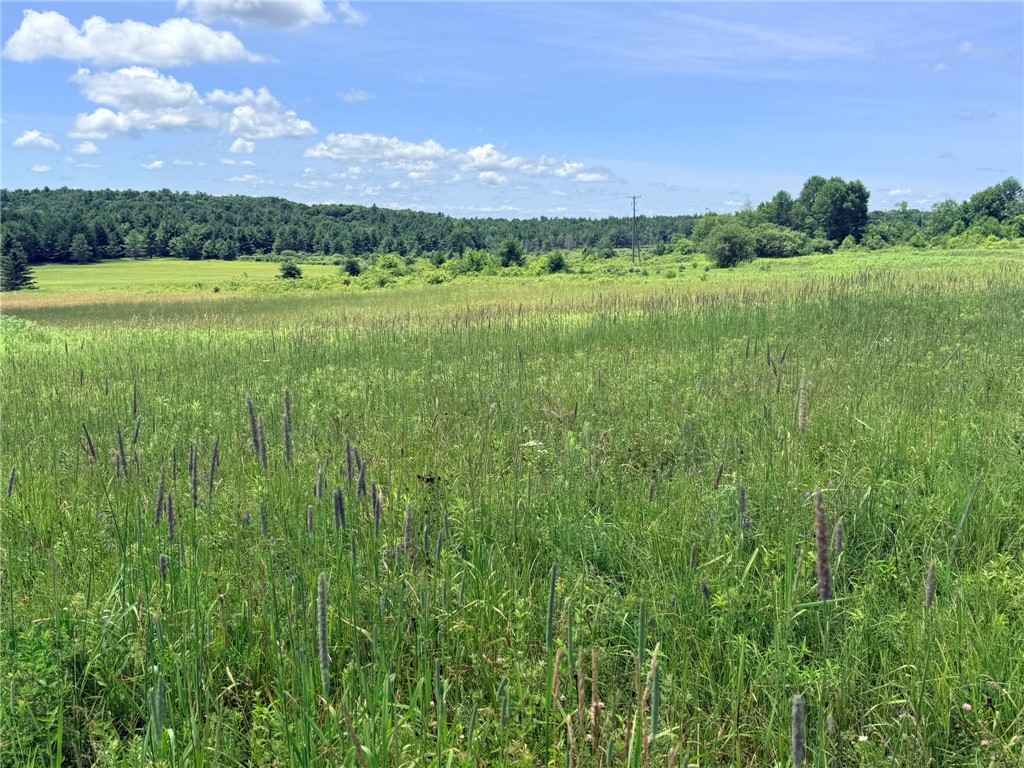 L19 North Pond Road Guilford, NY 13780 - Photo 1 of 19