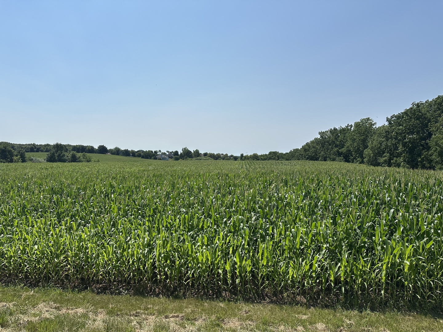 52-acres Church Road Marengo, IL 60152 - Photo 2 of 6 Gallery Image 2