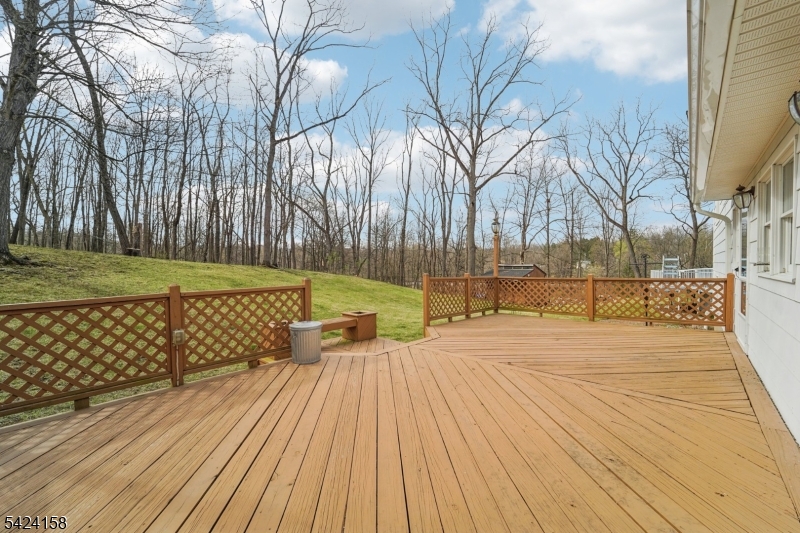 14 Scott Road Franklin, NJ 07416 - Photo 45 of 46