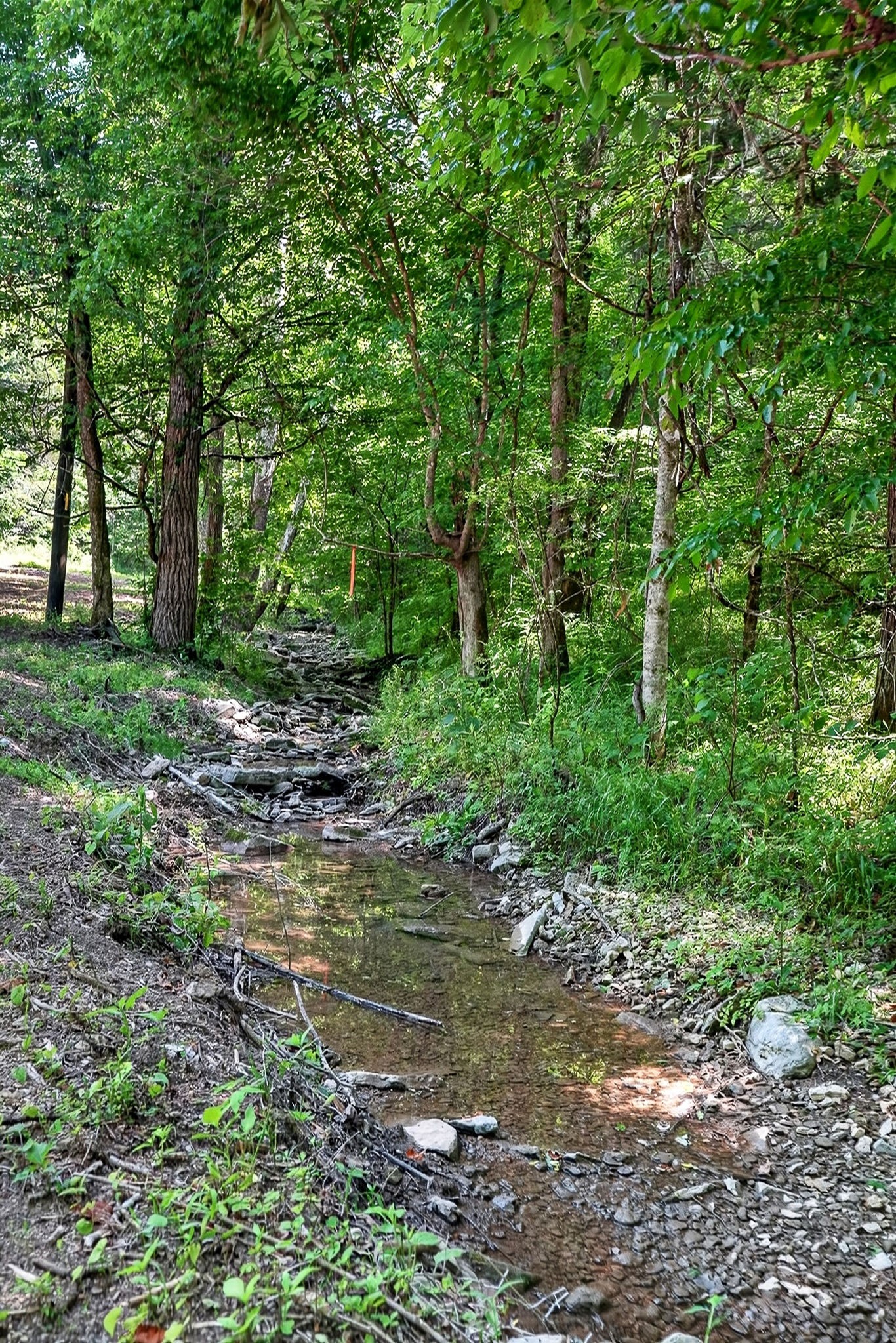 2926 Bryant Ridge Road Baxter, TN 38544 - Photo 17 of 64