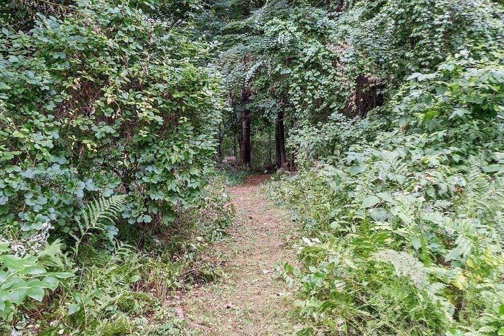 133 Hidden Road Andover, MA 01810 - Photo 33 of 37