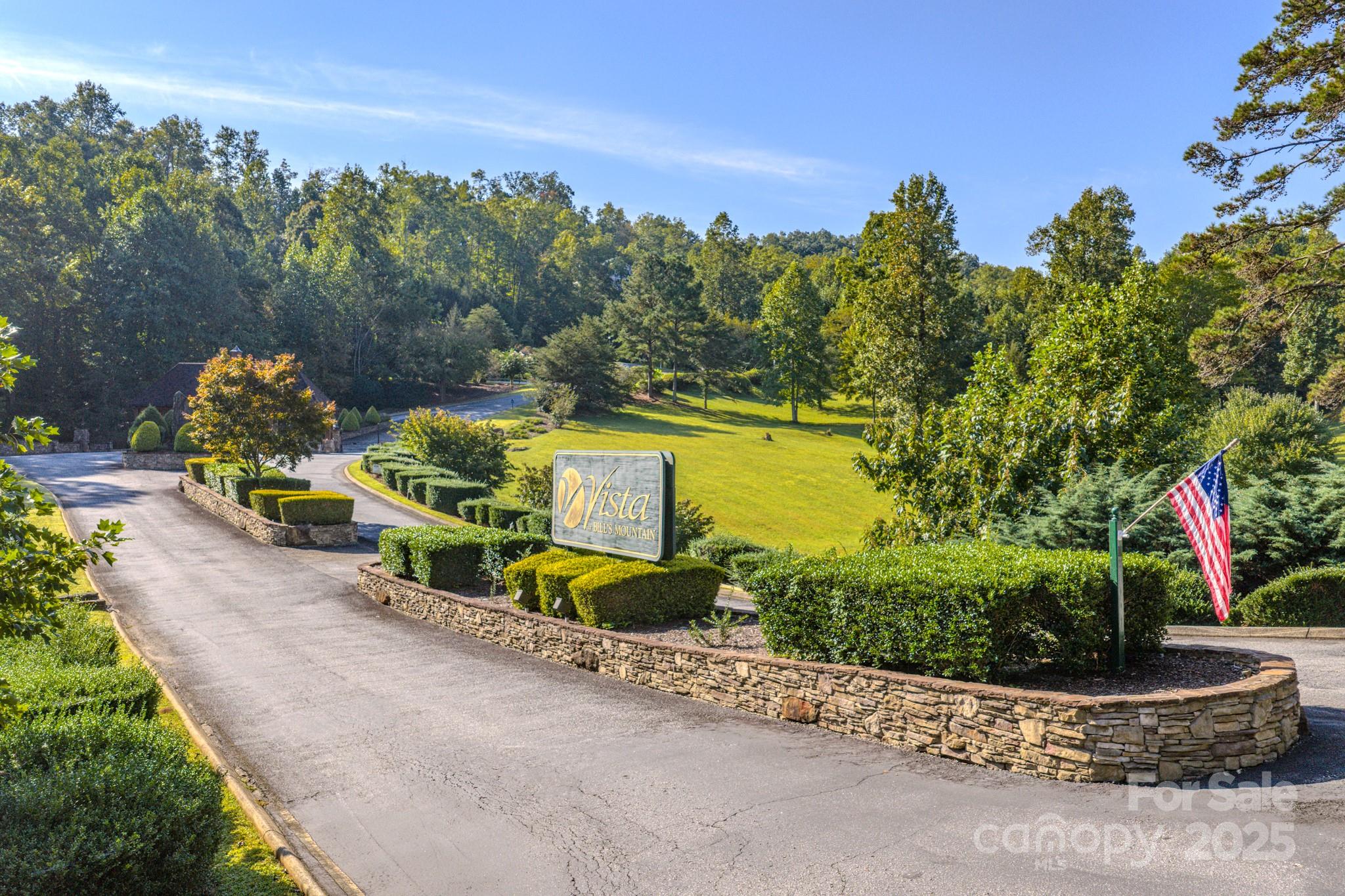 0 Willow Top Lane, Unit 332 Lake Lure, NC 28746 - Photo 2 of 9